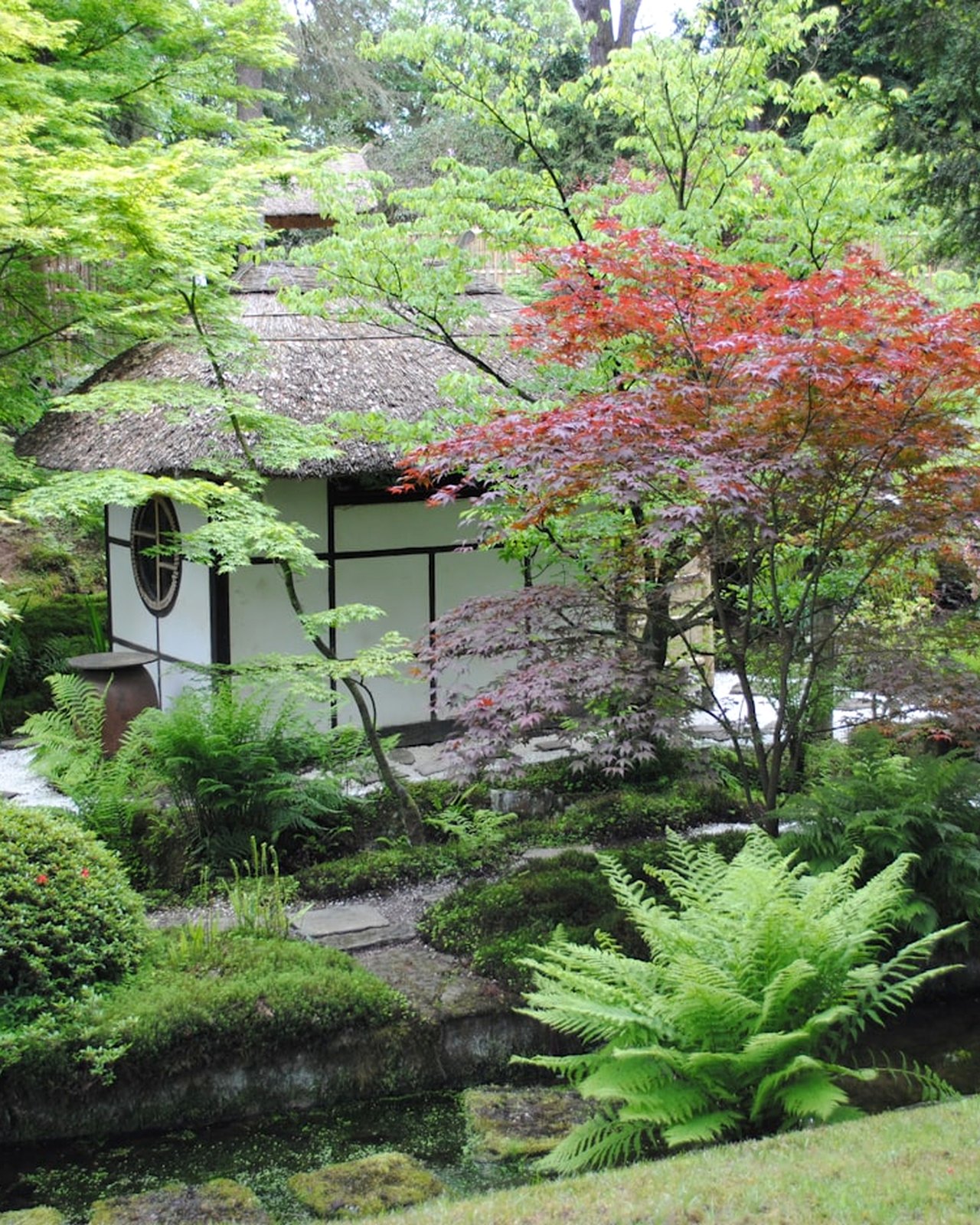 Inside Matcha Kōbō
