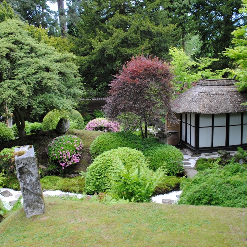 The calm teahouse interior